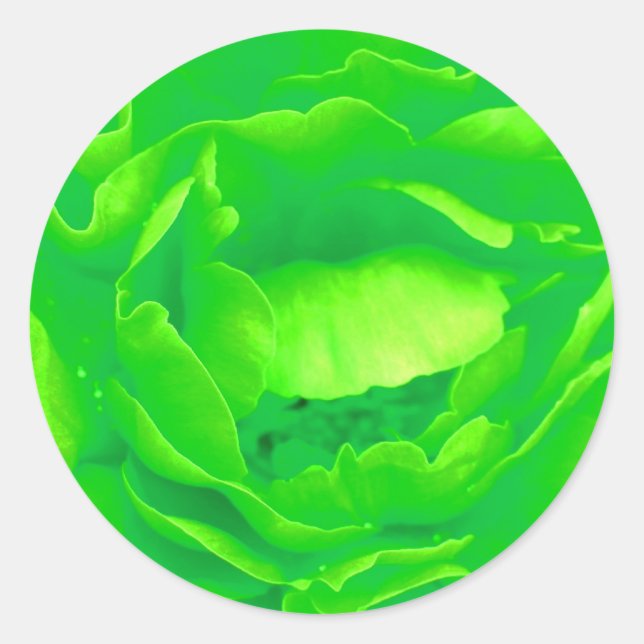 Light Green Rose Sticker- Customisable Classic Round Sticker (Front)