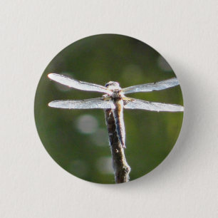 Light grey dragonfly 6 cm round badge