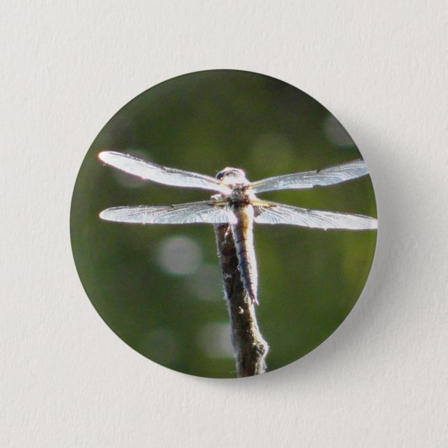 Light grey dragonfly 6 cm round badge (Front)