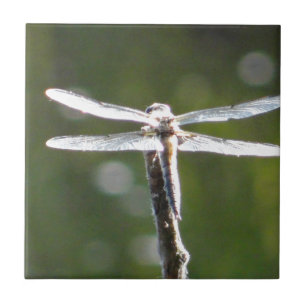 Light grey dragonfly tile