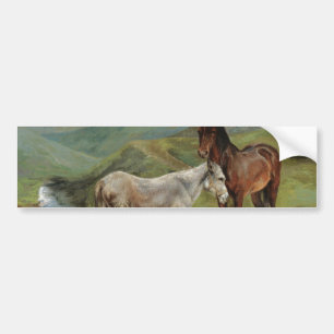 Light Grey Horse in a Field (Equine Farm Animal) Bumper Sticker