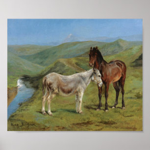 Light Grey Horse in a Field (Equine Farm Animal) Poster