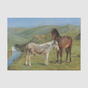 Light Grey Horse in a Field (Equine Farm Animal) Tissue Paper