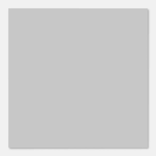Light Grey Plain Solid Custom Colour Background Wallpaper (Front)