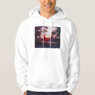 Light grounding 2013 hoodie