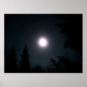 Light in the Darkness Poster