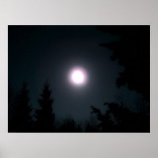 Light in the Darkness Poster