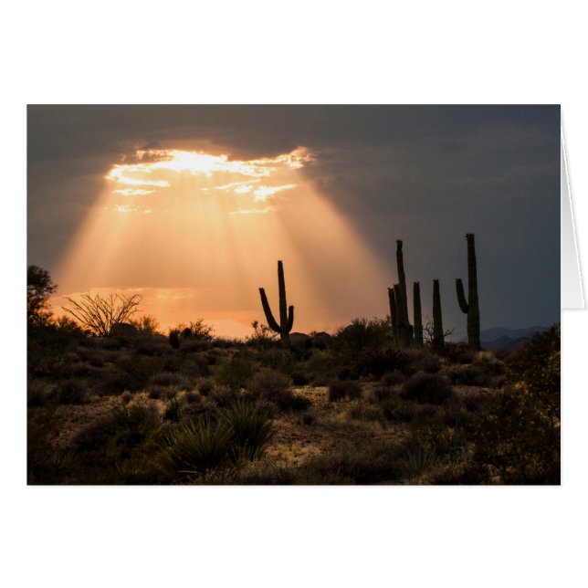 Light in the Desert (Front Horizontal)