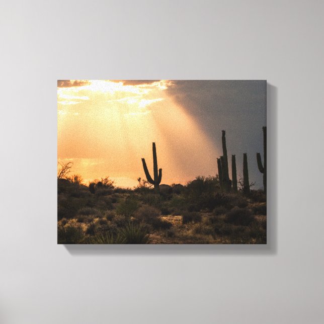 Light in the Desert Canvas Print (Front)