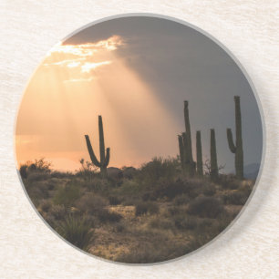 Light in the Desert Coaster