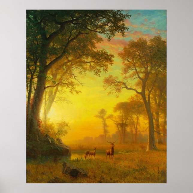 Light in the Forest Poster (Front)