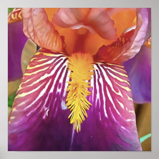 Light Iris Macro Artistic Abstract Poster
