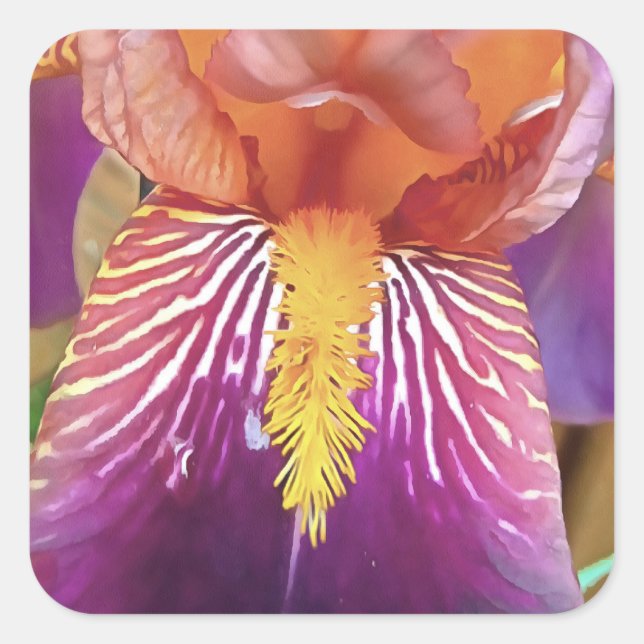 Light Iris Macro Artistic Abstract Square Sticker (Front)