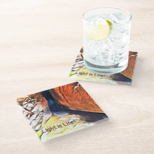 Light is Life- Coast Stony Crevasse Glass Coaster