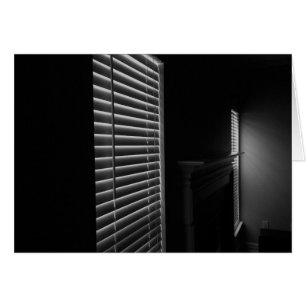 Light, Lines & Shade