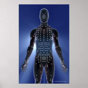 Light map of acupuncture points poster