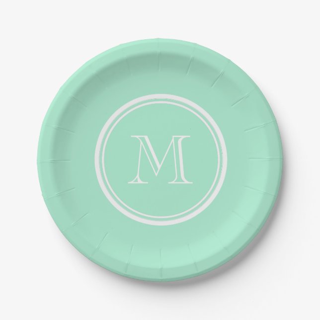 Light Mint Green High End Coloured Matching Paper Plate (Front)