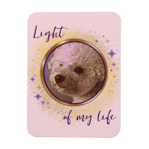 Light of My Life Magnet