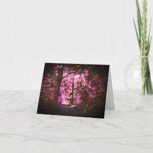 Light On Path Nature Blank Note Card