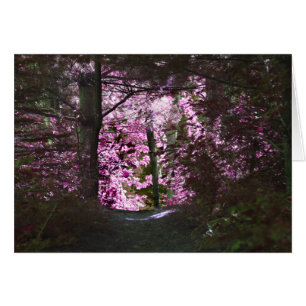 Light On Path Nature Card