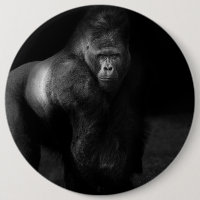 Light on Strength – Silverback Gorilla