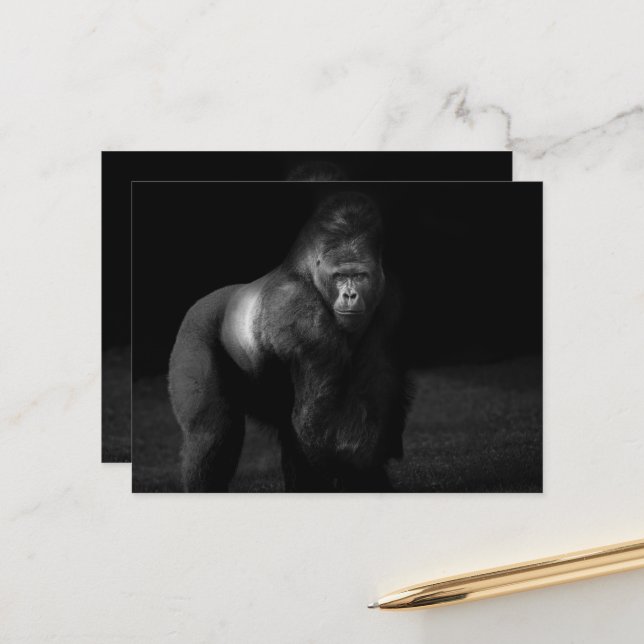 Light on Strength – Silverback Gorilla Postcard (Front/Back In Situ)