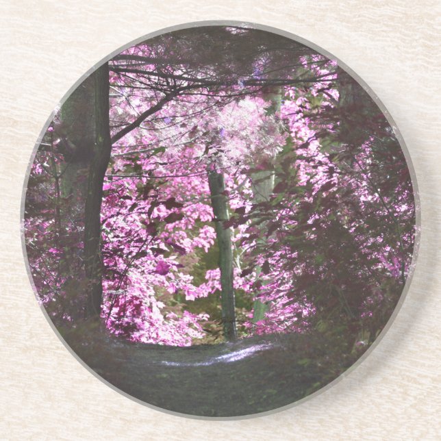 Light On The Path Nature Coaster (Front)