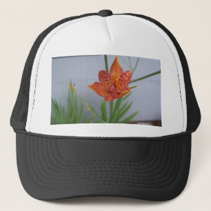Light orange spotted Blackberry lily in a garden Trucker Hat