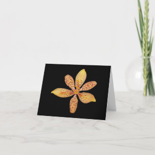 Light orange spotted Blackberry lily on a Card