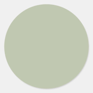 Light Pale Sage Green Neutral Elegant Solid Colour Classic Round Sticker