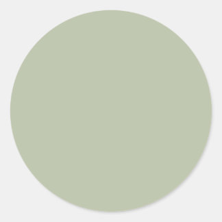 Light Pale Sage Green Neutral Elegant Solid Colour Classic Round Sticker