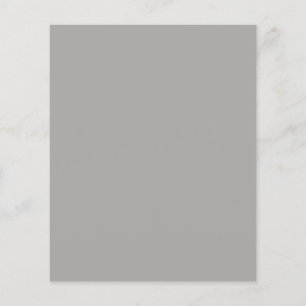 Light Pastel Grey Flyer