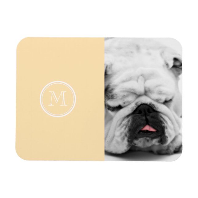 Light Peach High End Coloured Magnet (Horizontal)