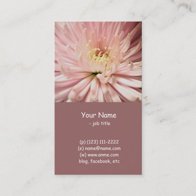 light pink chrysanthemum flower business card (Front)
