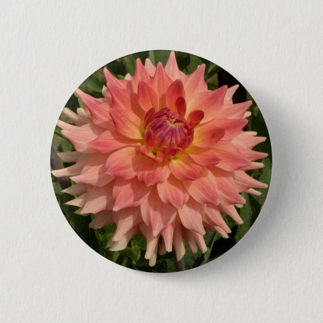 Light Pink Dahlia Petals Motif 6 Cm Round Badge (Front)