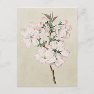 Light Pink Floral Postcard