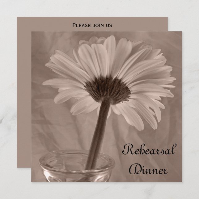 Light Pink Gerber Daisy Wedding Rehearsal Dinner Invitation (Front/Back)