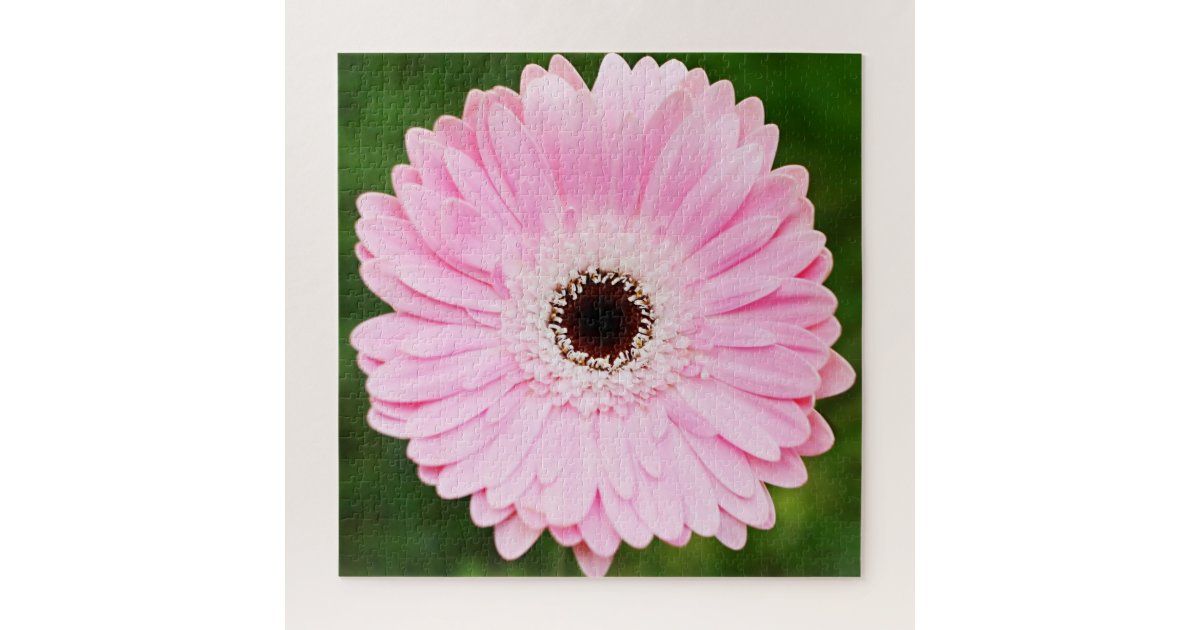 Light Pink Gerbera Daisy Floral Jigsaw Puzzle Zazzle