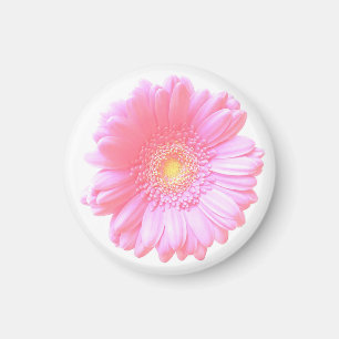 Light pink gerbera daisy magnet
