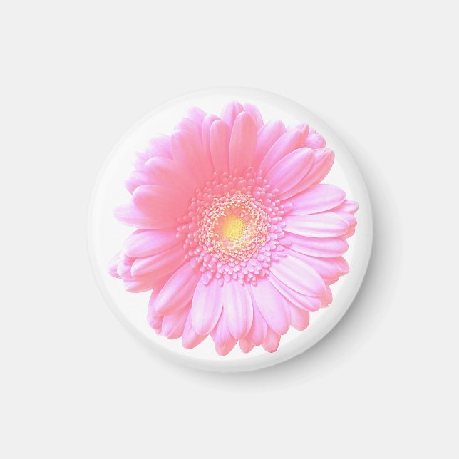 Light pink gerbera daisy magnet (Front)