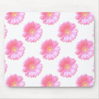 Light pink gerbera daisy