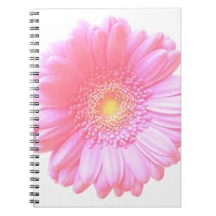 Light pink gerbera daisy notebook