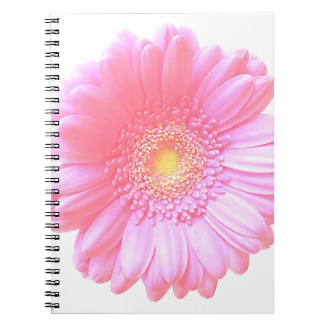 Light pink gerbera daisy notebook (Front)