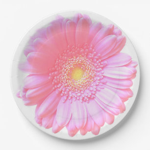 Light pink gerbera daisy paper plate