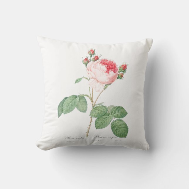 Light Pink Girly Flower Botanic Garden Pink Roses Cushion (Front)