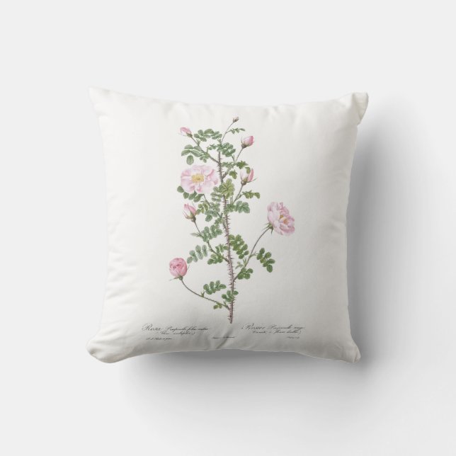 Light Pink Girly Flower Cottage Cushion (Front)