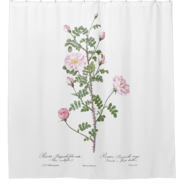 Light Pink Girly Flower Cottage  Shower Curtain (Front)