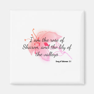light pink lily  magnet