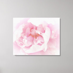 Light Pink Peony Flower Canvas Print