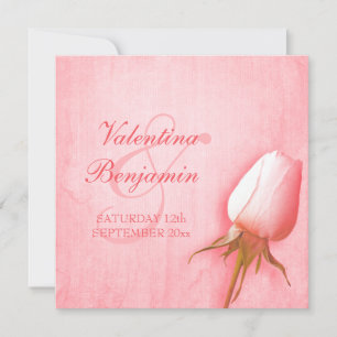 Light pink rose bud wedding square invitation